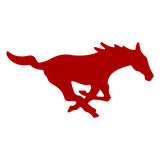 SMU Mustangs