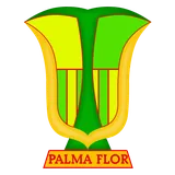Atlético Palmaflor