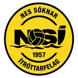 NSI Runawik